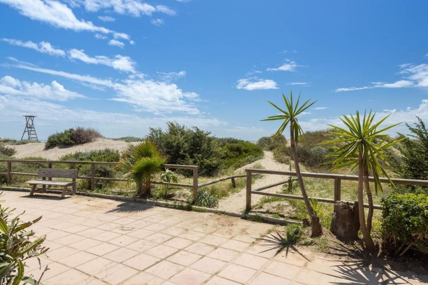 Piso en Avenida Jardines de las Golondrinas, 8, Romana Playa - Foto 5