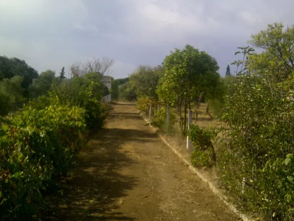 Casa independiente en camino de Melilla s/n - Foto 5