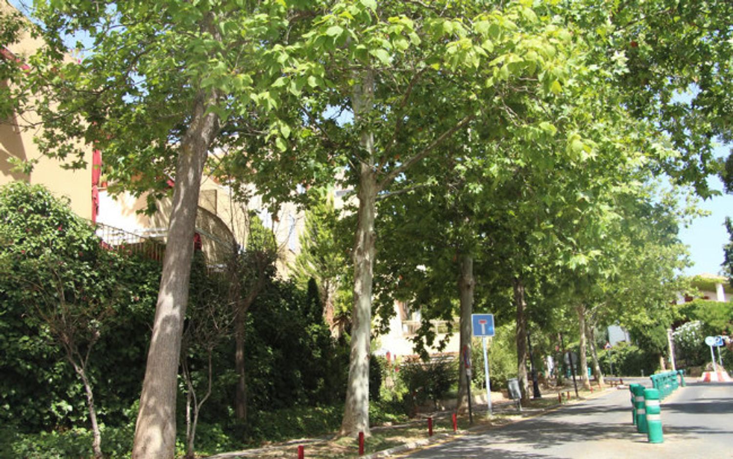 Piso en Calle Aixa la Horra, 8, Bola de Oro, Bola de Oro - Foto 23