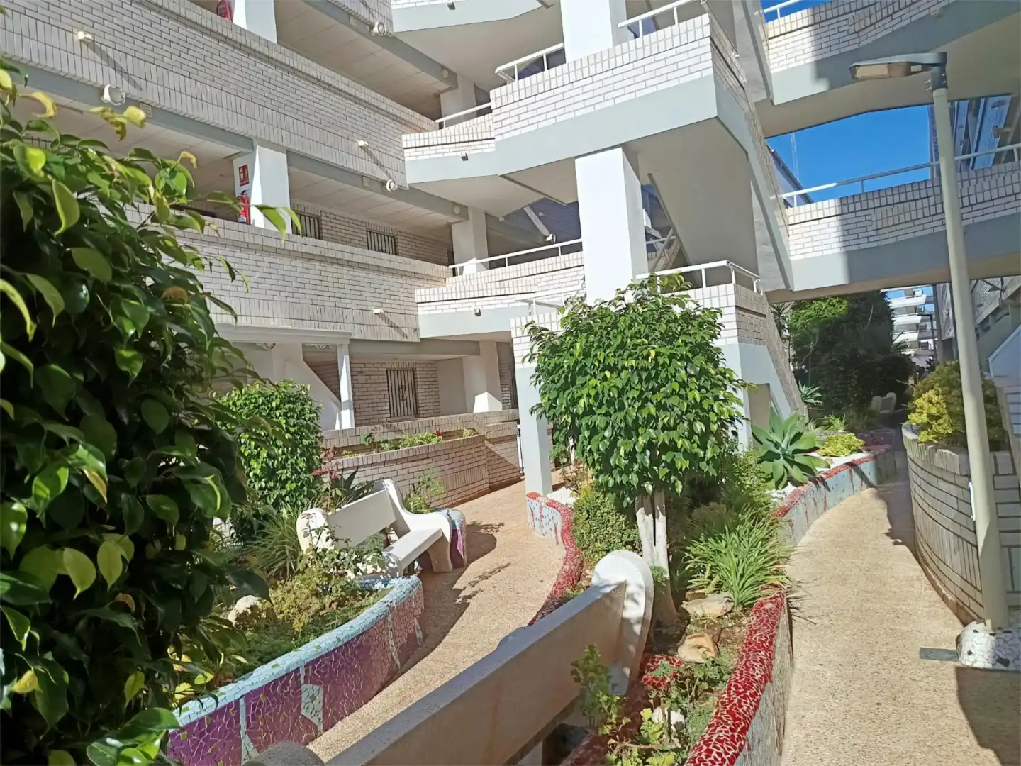 Apartamento en  Avenida Central 12 - Foto 19