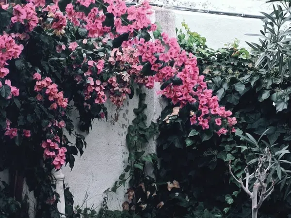 Chalet adosado en calle Antonio Machado, 35 - Foto 30