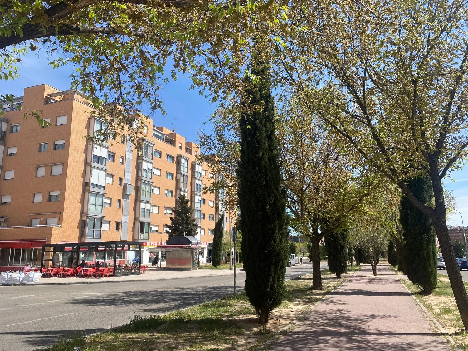 Piso en calle del Príncipe Carlos, 38 - Foto 30