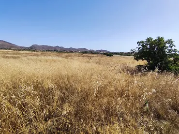 Finca rústica en  Lugar Ermita de los Puertos 18 - Foto 7