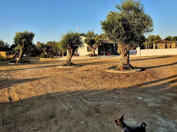 Finca rústica en Coria del Río - Foto 25