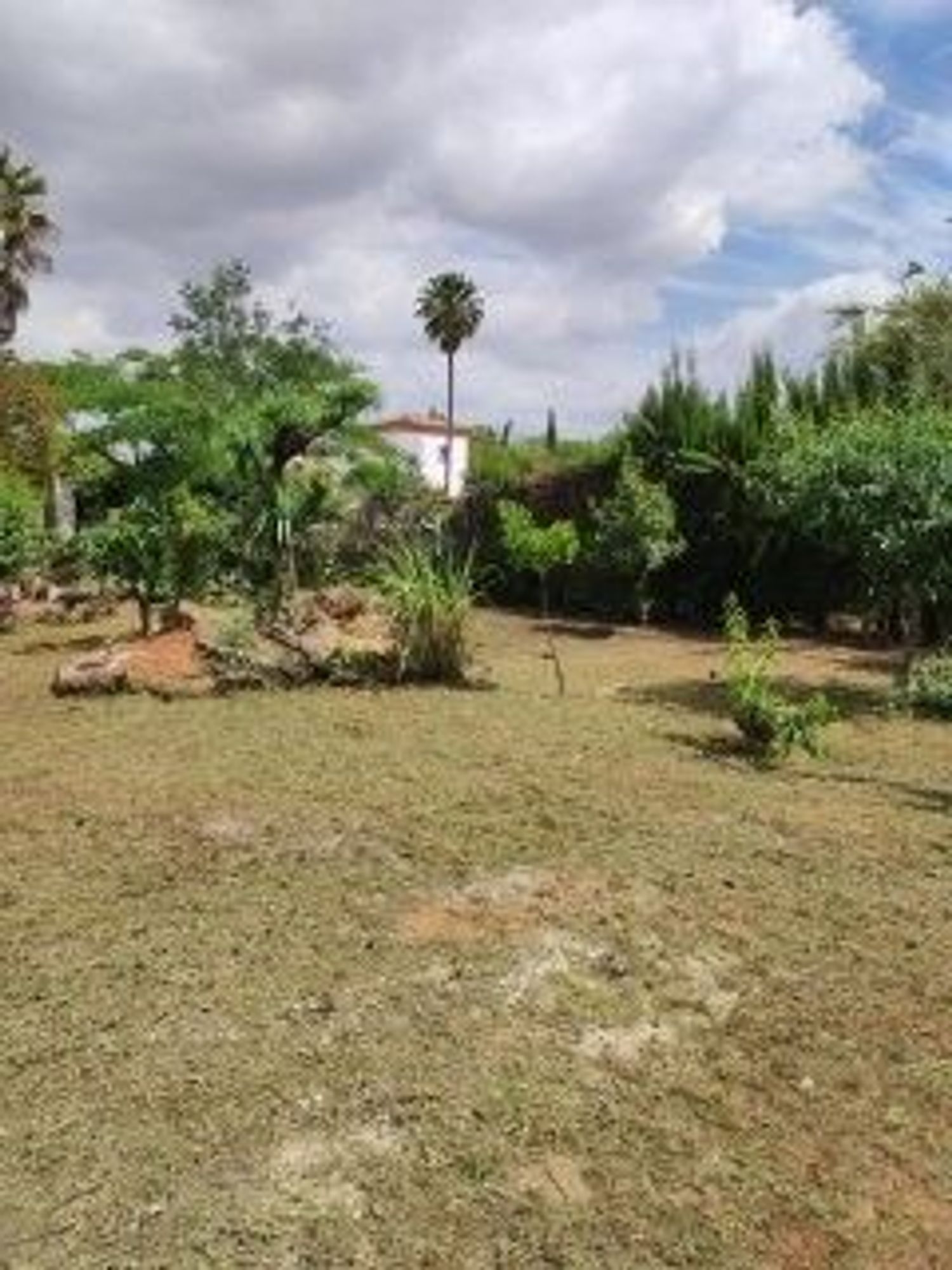 Casa o chalet independiente en Calle Almeria urb. Las Minas Golf, 44 - Foto 6