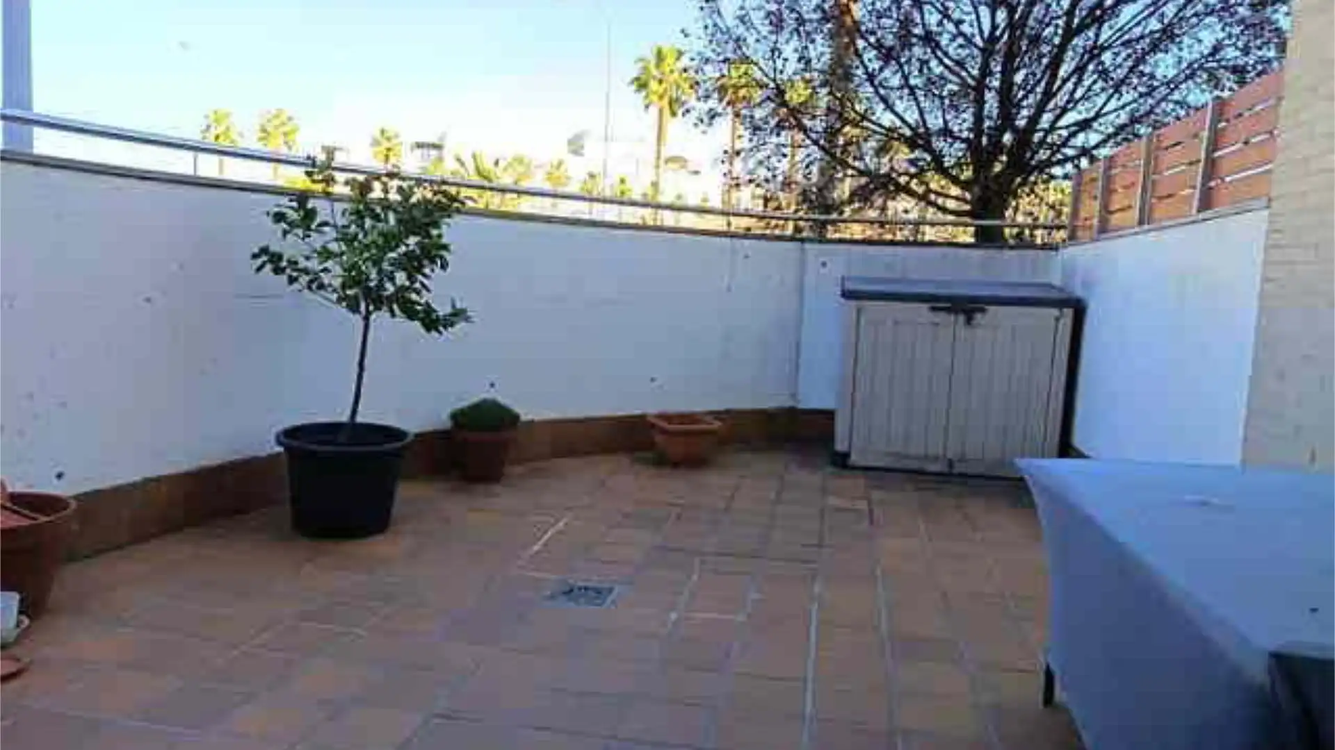 Piso en Parque Almunia - Foto 7