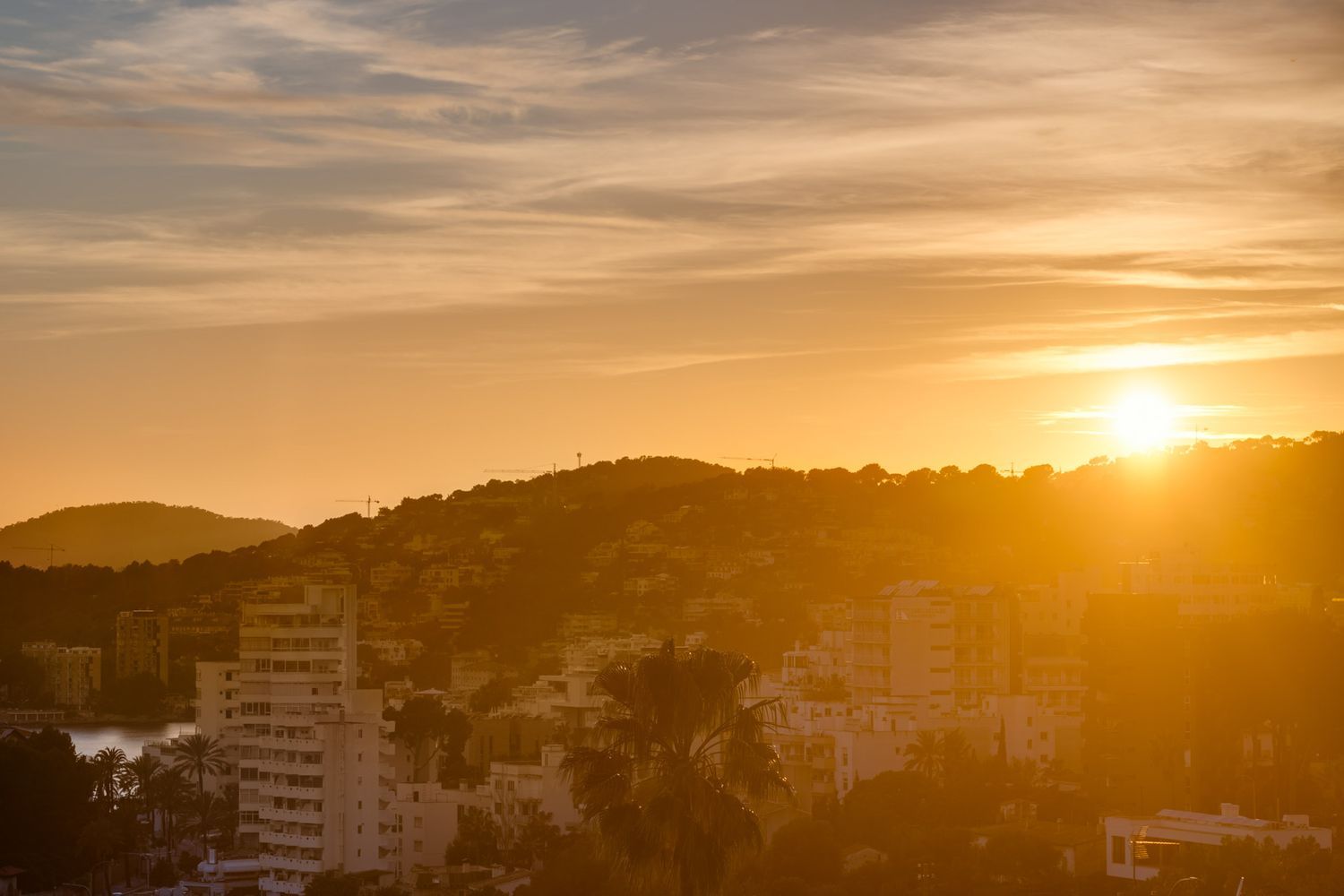 Ático en Barrio La Bonanova - Porto Pi - Foto 20