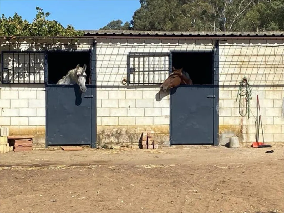 Casa adosada en Urbanizacion el regidor - Foto 7