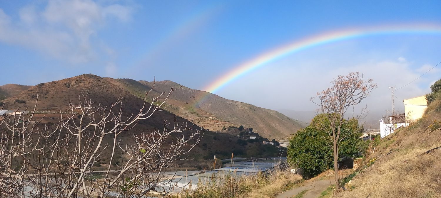 Cortijo en Cortijo en cercado, 22 - Foto 5