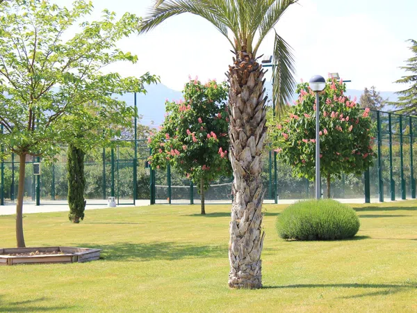 Casa o chalet independiente en Camino Viejo de Logroño, 53 - Foto 18