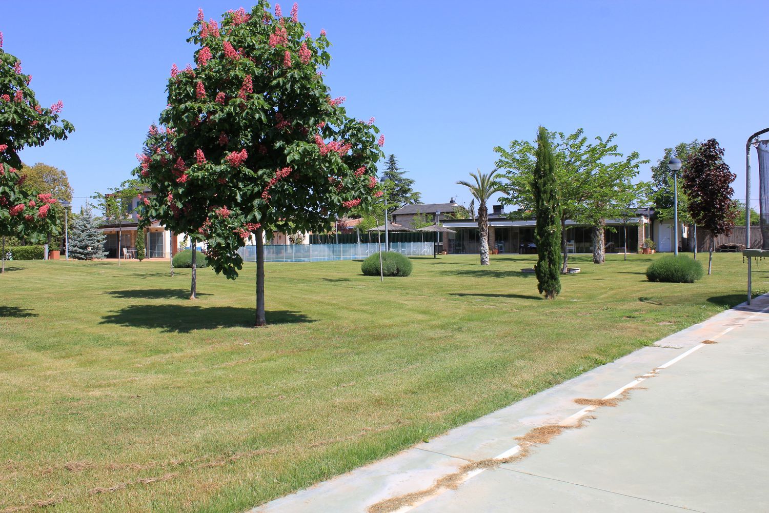Casa o chalet independiente en Camino Viejo de Logroño, 53 - Foto 13