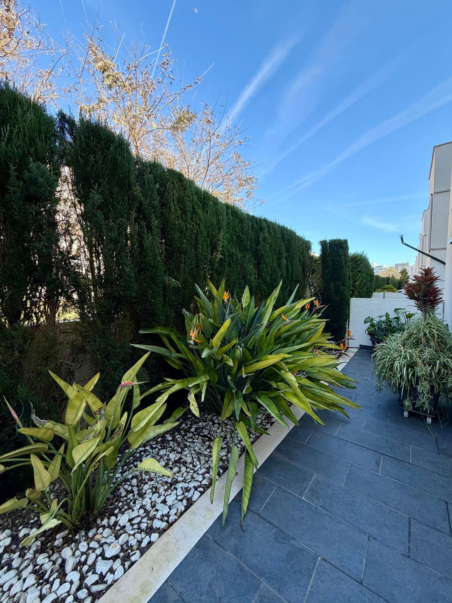 Chalet adosado en calle de la Fotja, 3 - Foto 5