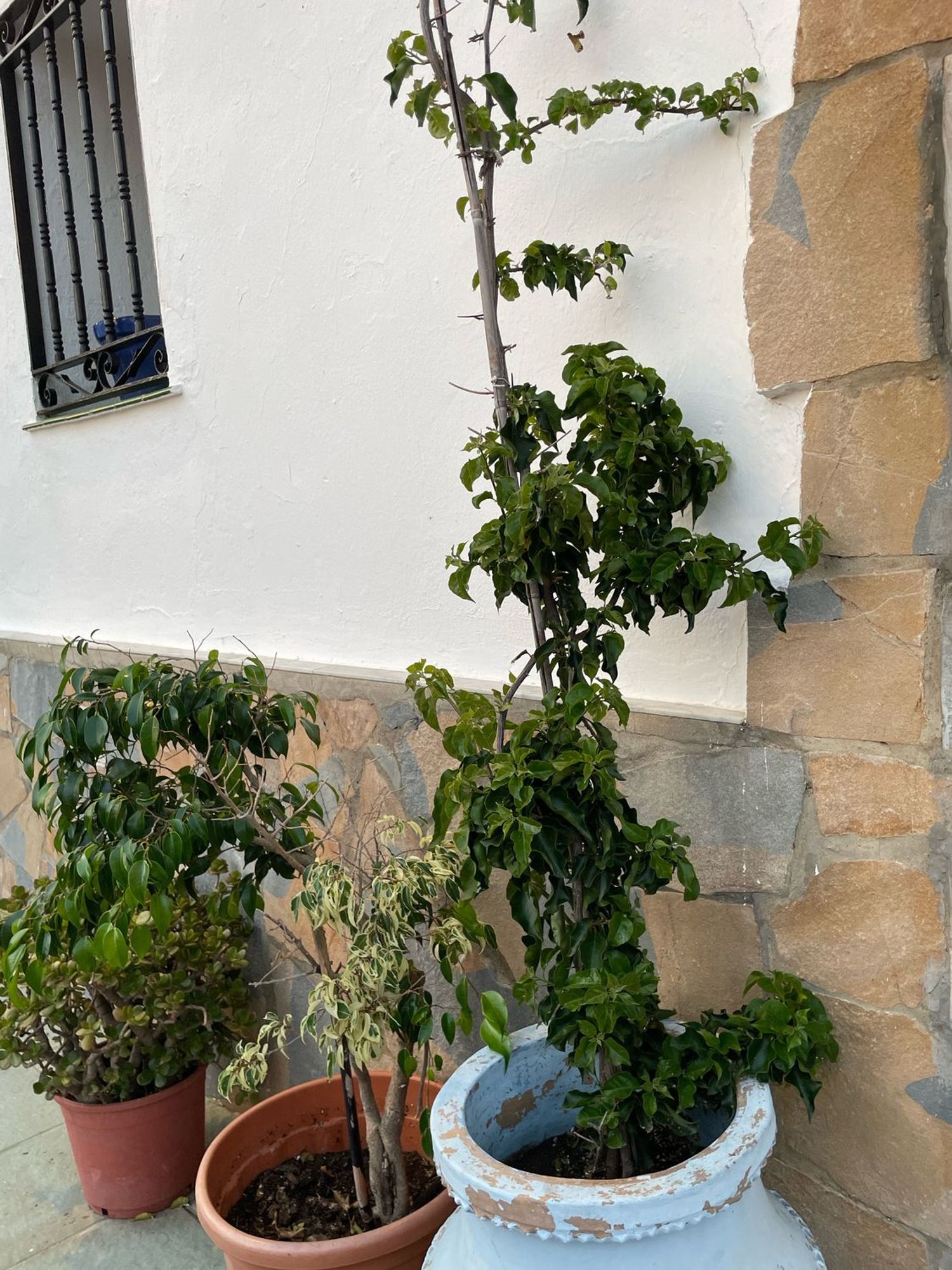 Casa o chalet independiente en Calle Carrera, 50, Casares, Casares - Foto 12