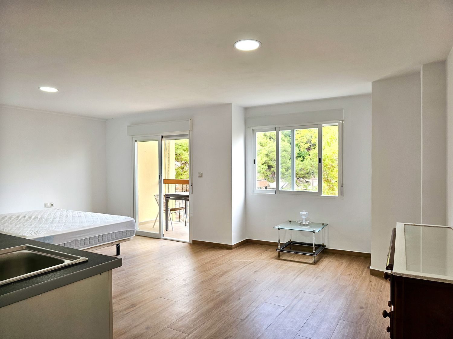 Estudio en calle Pintor Murillo, 57 - Foto 3