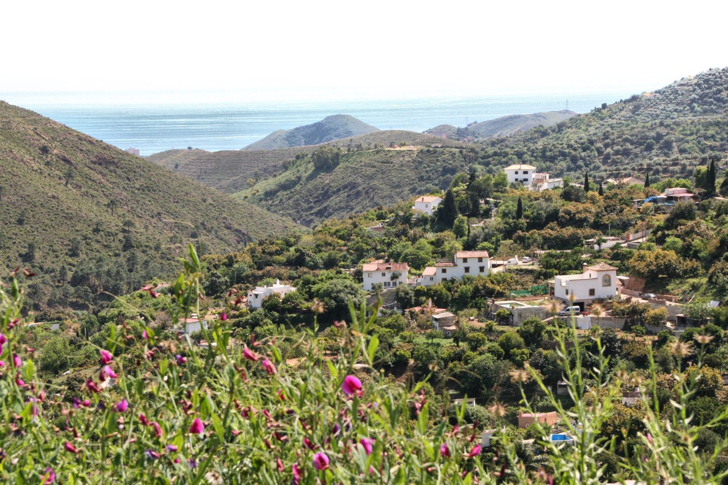 Casa independiente en calle Diseminado s/n sn - Foto 26