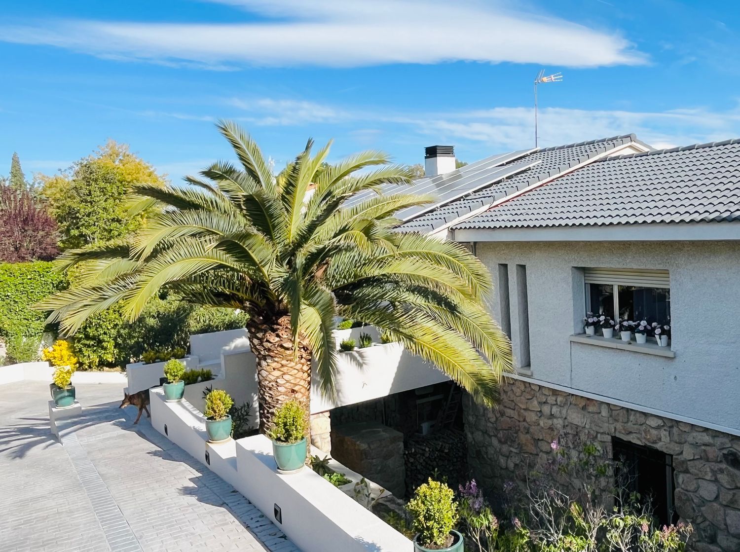 Casa independiente en Urb. bonanza Bonanza - Foto 35