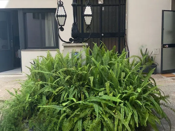 Piso en plaza Cristo de Burgos, 5 - Foto 9