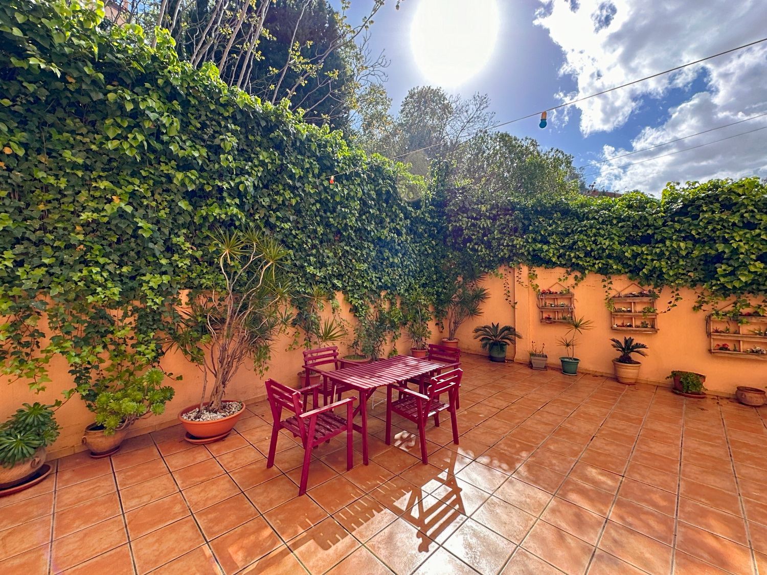 Piso en Castell (carril), Limonar - Foto 16