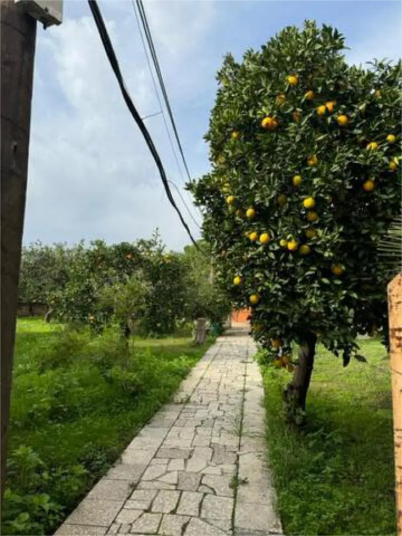 Casa adosada en Zona Norte - Foto 6