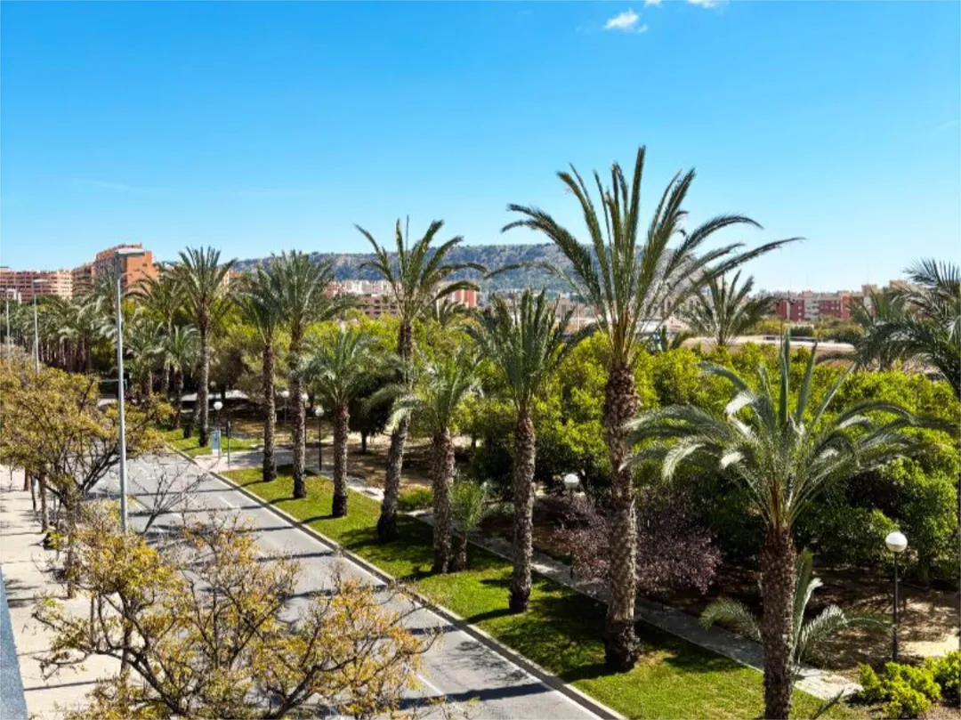 Piso en  Calle Granja de Rocamora 4 - Foto 14