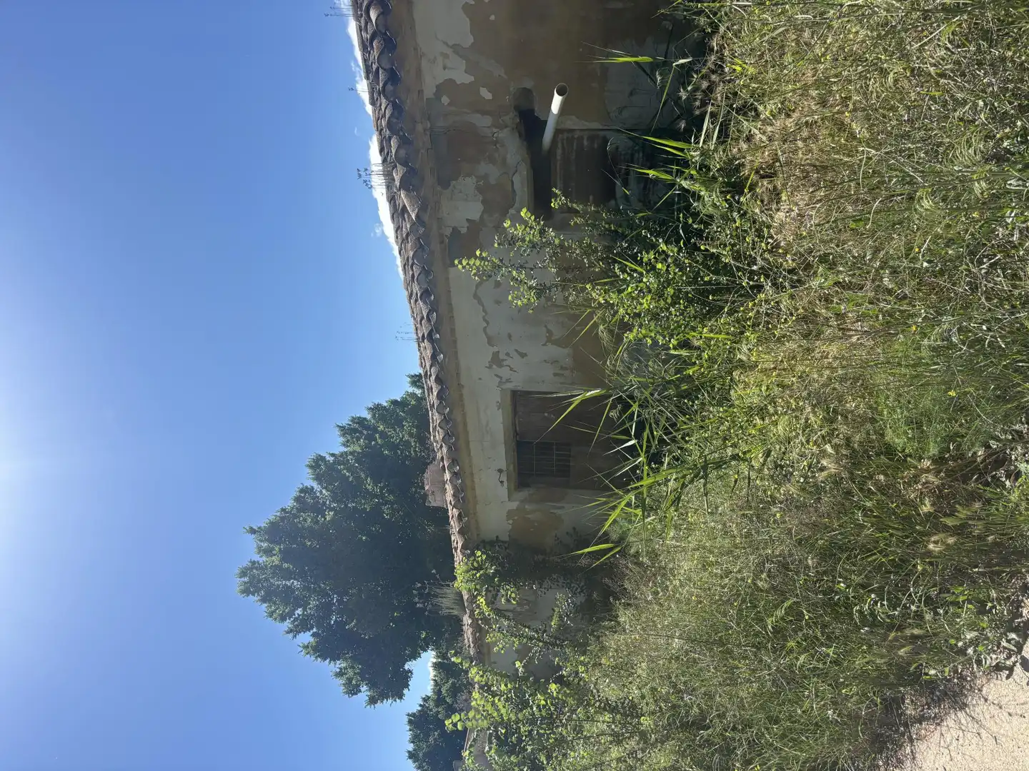 Finca rústica en  Paraje Puente del Rio Segura 79 - Foto 9