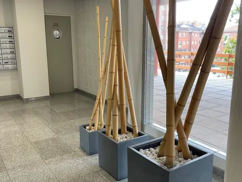 Estudio en calle Manuel Fernández Avello, 14 - Foto 3