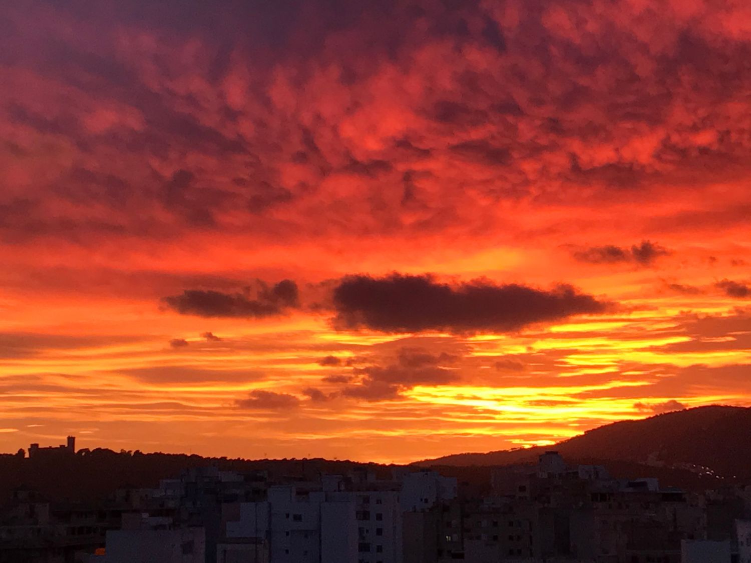 Piso en calle de Francesc Martí i Móra, 5 - Foto 13