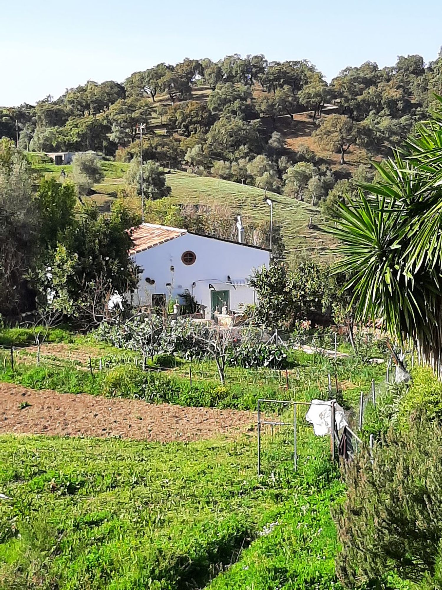 Finca rústica en Carretera La Corte S/n, 17 - Foto 33
