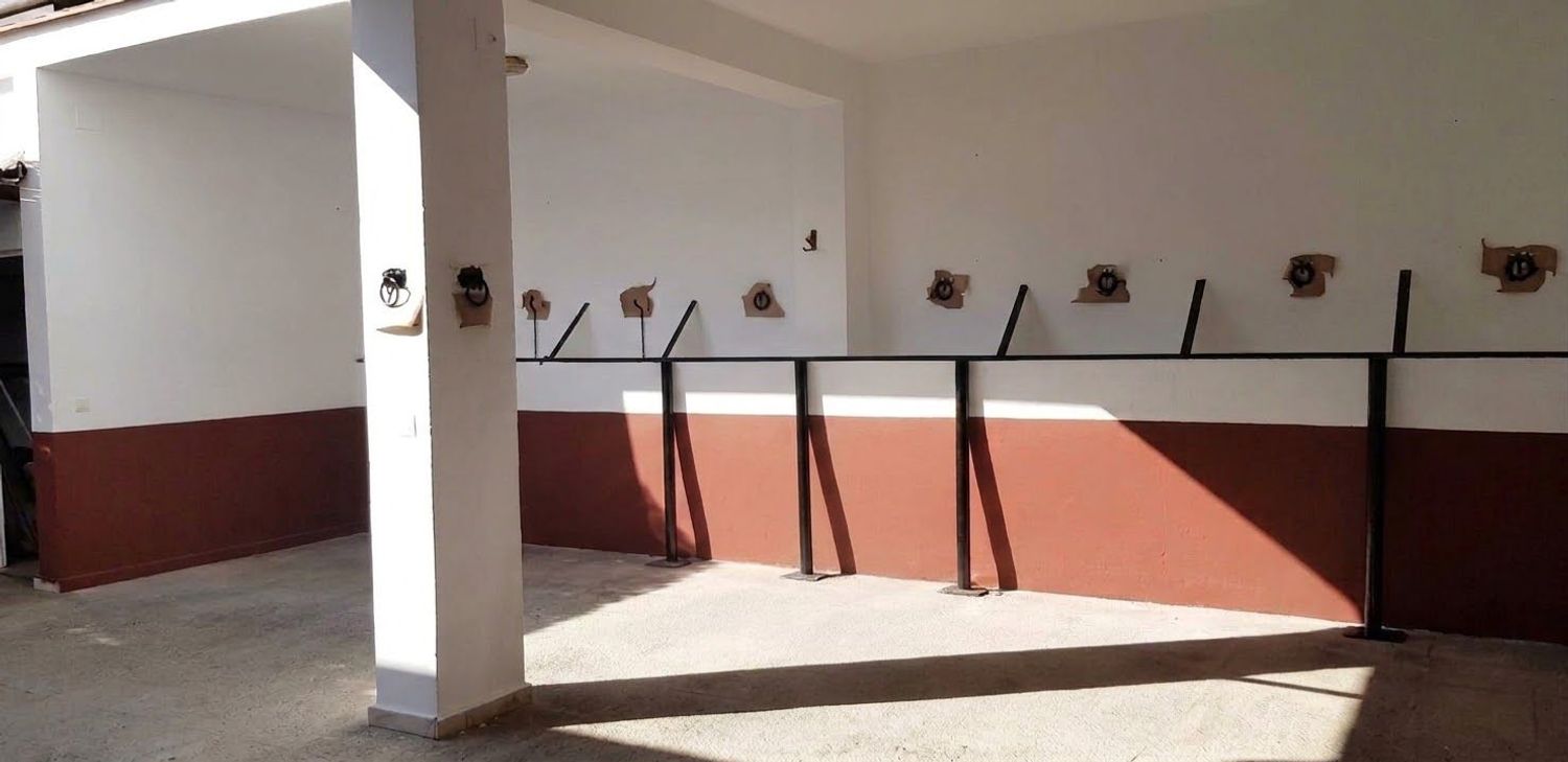 Chalet adosado en Calle Torre Carbonero, 147, El Rocío, El Rocío - Foto 12