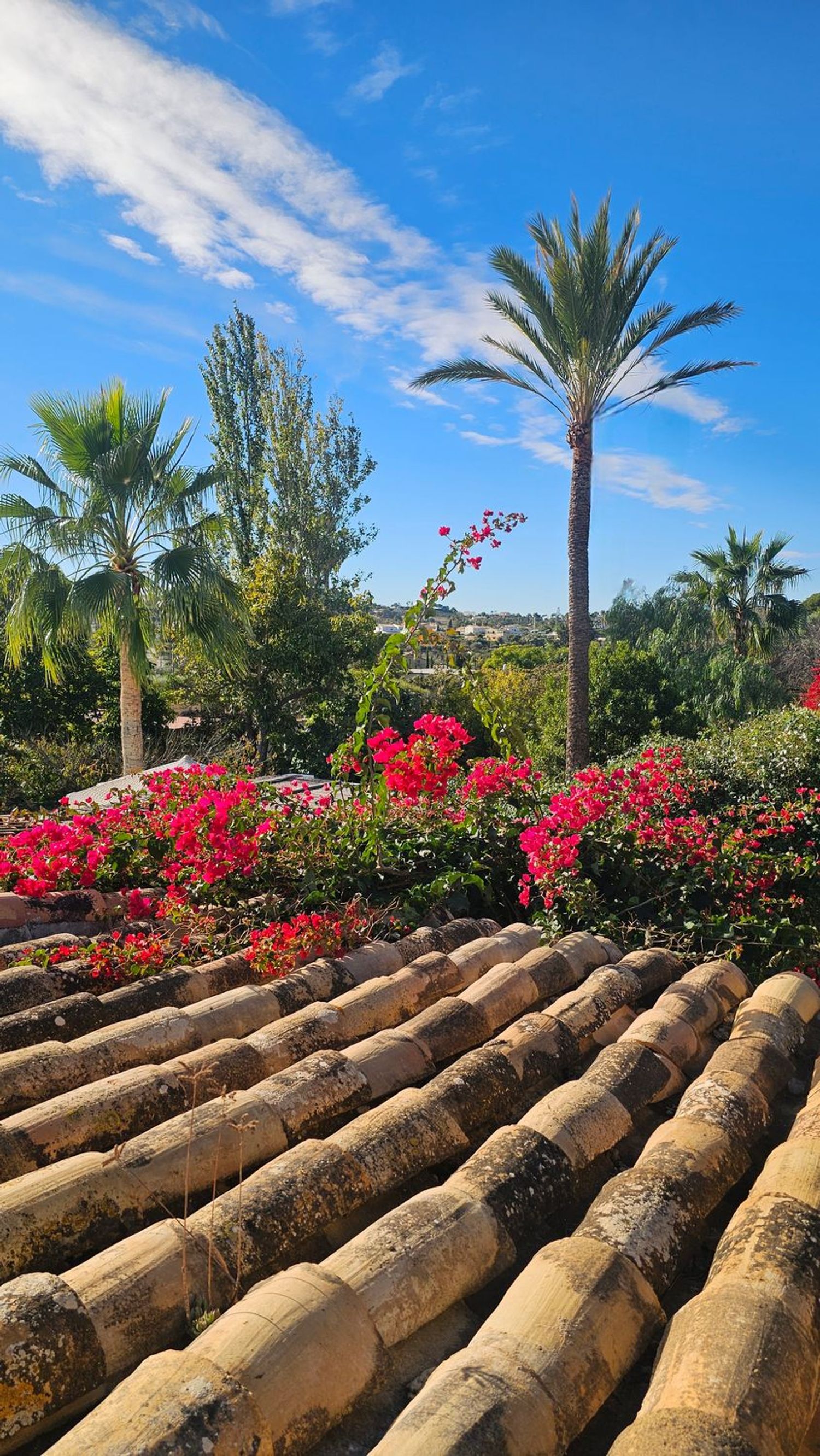 Casa rural en Altea Pueblo, Altea Pueblo - Foto 14