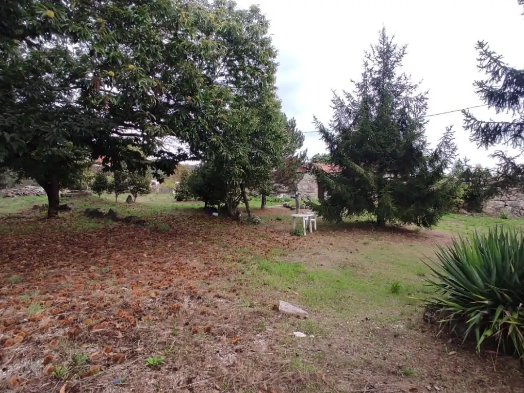 Planta baja en  Rúa Doutor Martínez Rodríguez 22 - Foto 29