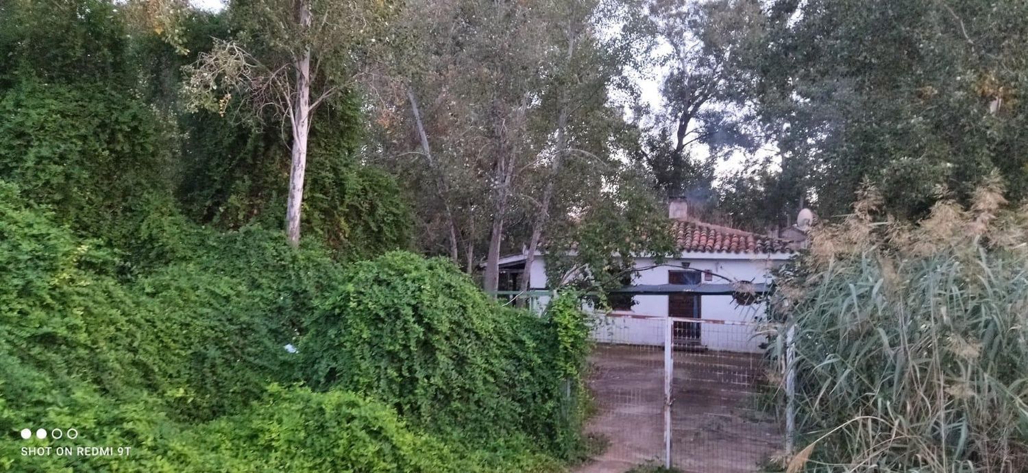 Casa o chalet independiente en Carretera M-404 s/n - Foto 31