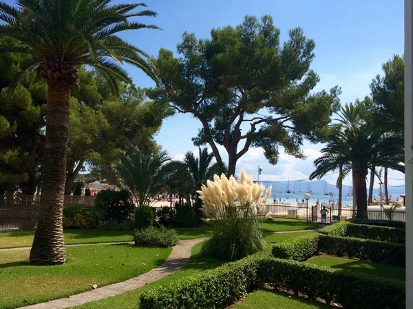 Piso en Port d'Alcúdia - Platja d'Alcúdia - Foto 1