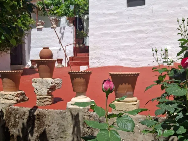 Casa de pueblo en Calle Castelar, 2 - Foto 23