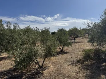 Finca rústica en  Prolongación Cañada del Tovar 34 - Foto 9