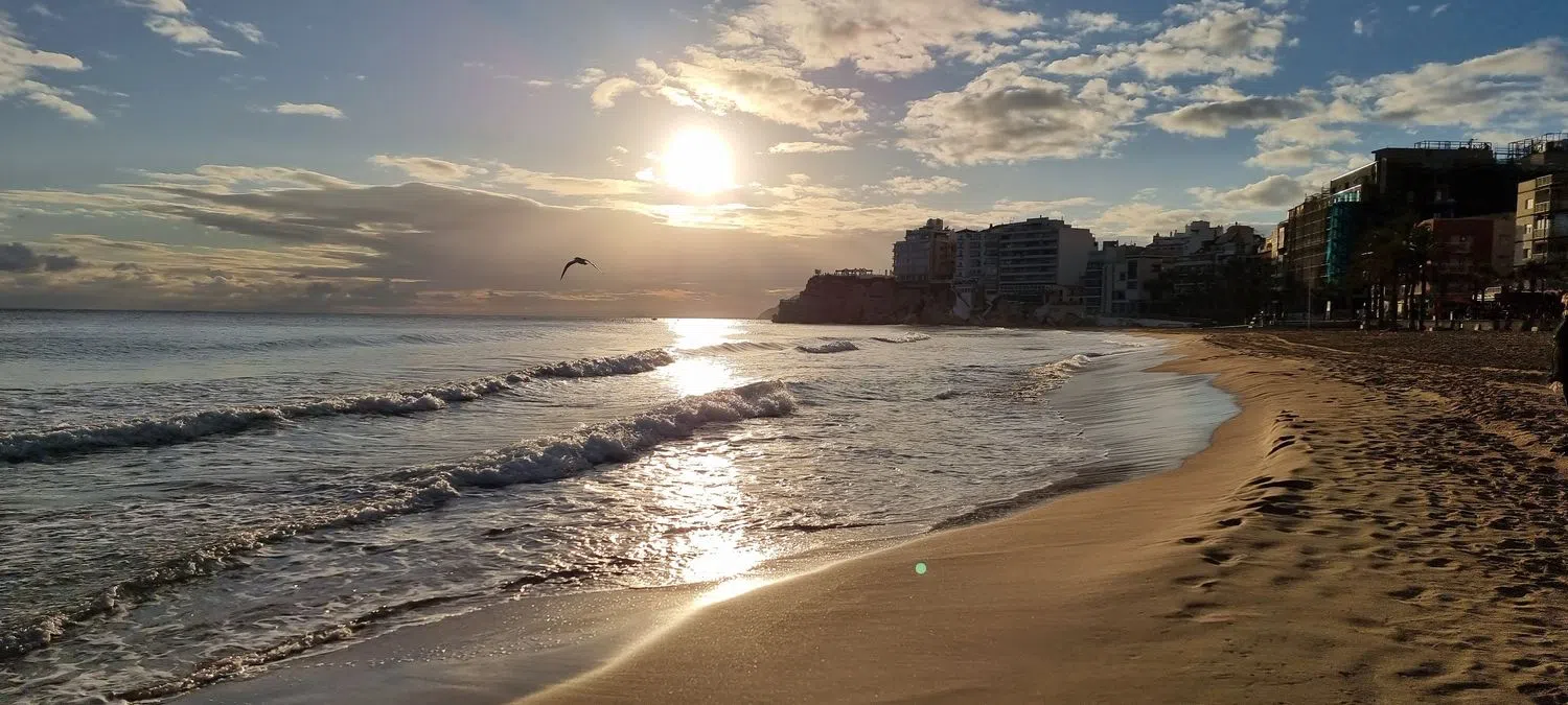 Estudio en calle Alcalde Manuel Catalán Chana, 10 - Foto 18