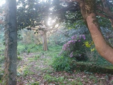 Chalet en Vilagarcía de Arousa - Foto 5