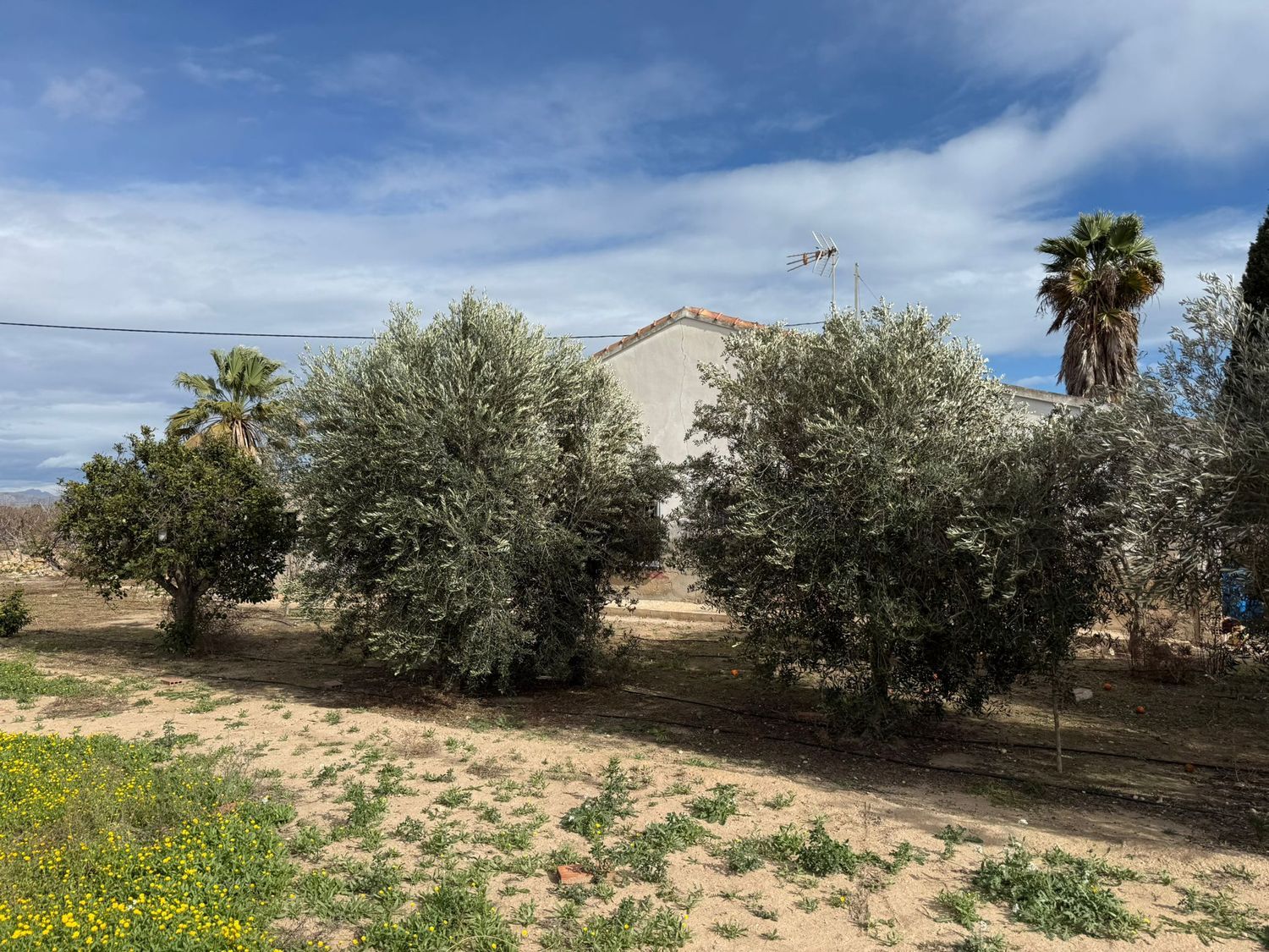 Finca rústica en Partida Baya Baja, 2201 b - Foto 2