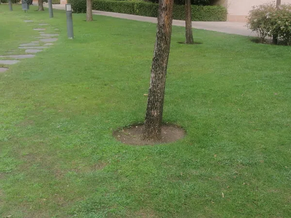 Piso en Calle de Bulgaria, 1, San Isidro - Los Almendros, San Isidro - Los Almendros - Foto 29