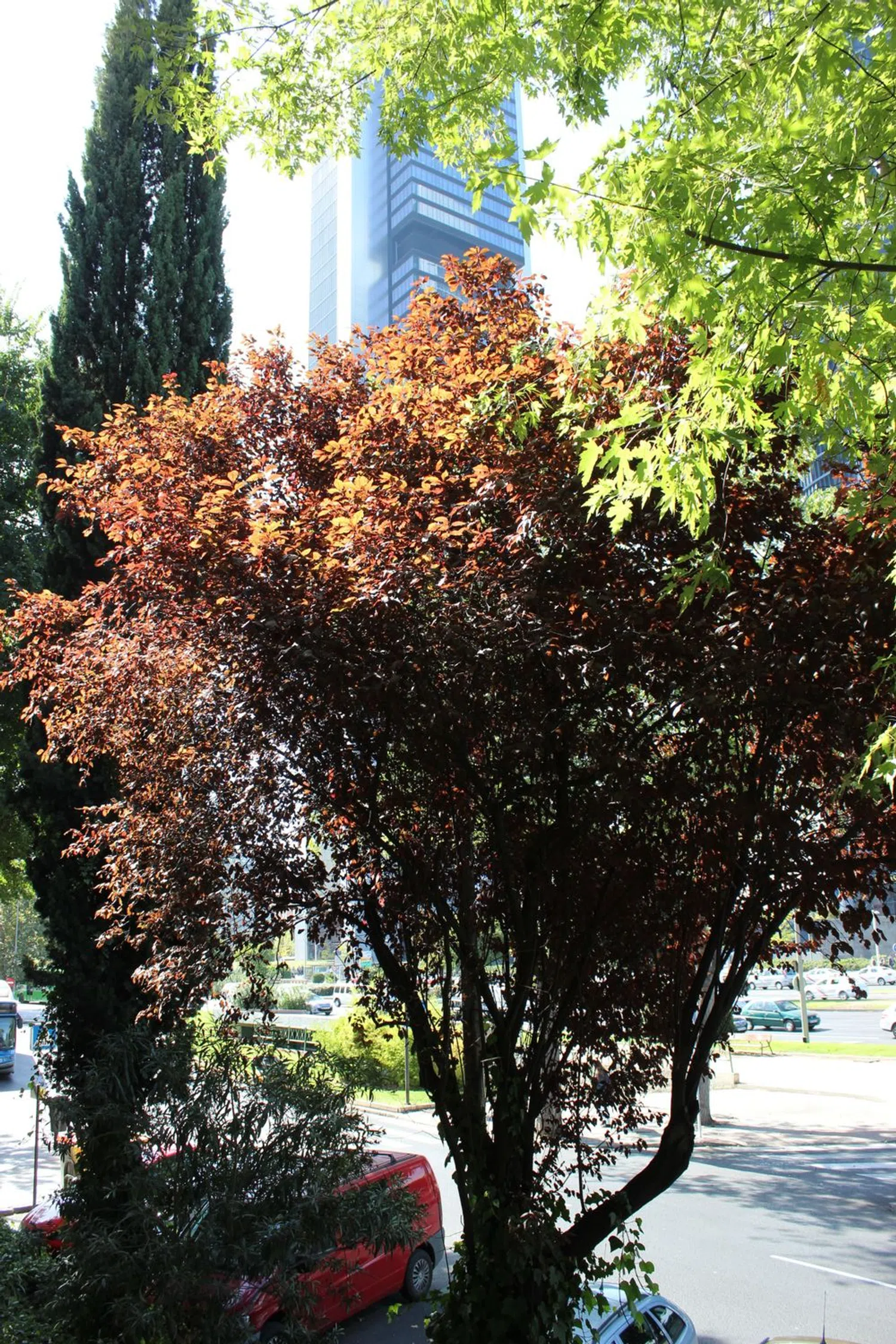 Piso en paseo de la Castellana, 284 - Foto 22