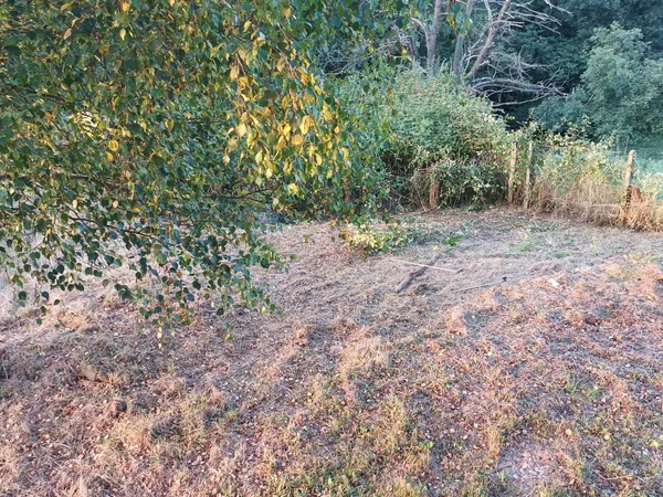 Chalet pareado en Venta de Soto, 13 - Foto 13