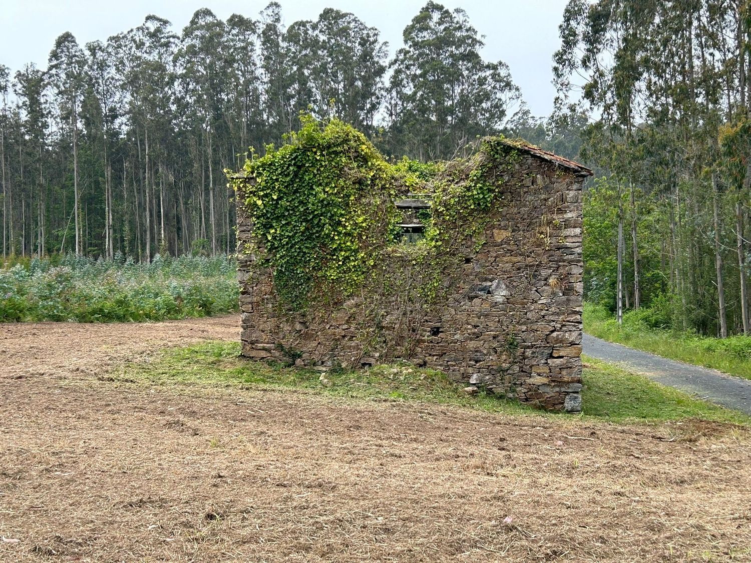 Casa rural en Camino Sen Nome s/n - Foto 9