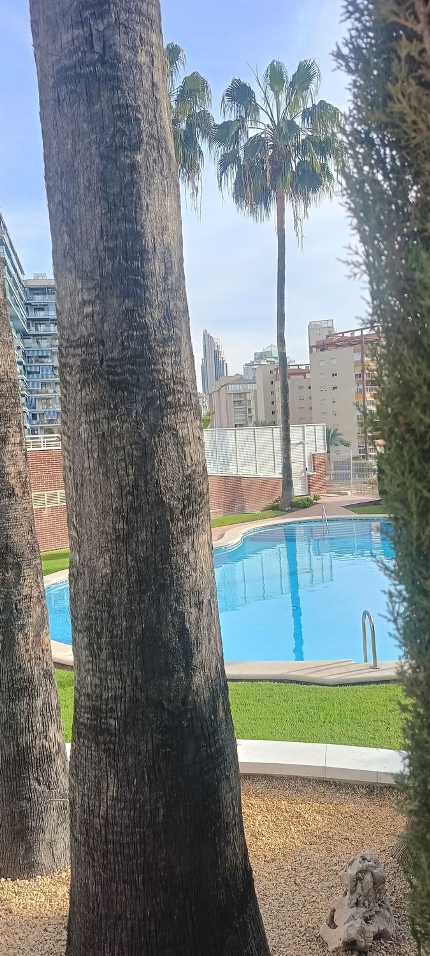 Estudio en Calle Llebeig, 4, Alitana - Casablanca - Foto 12