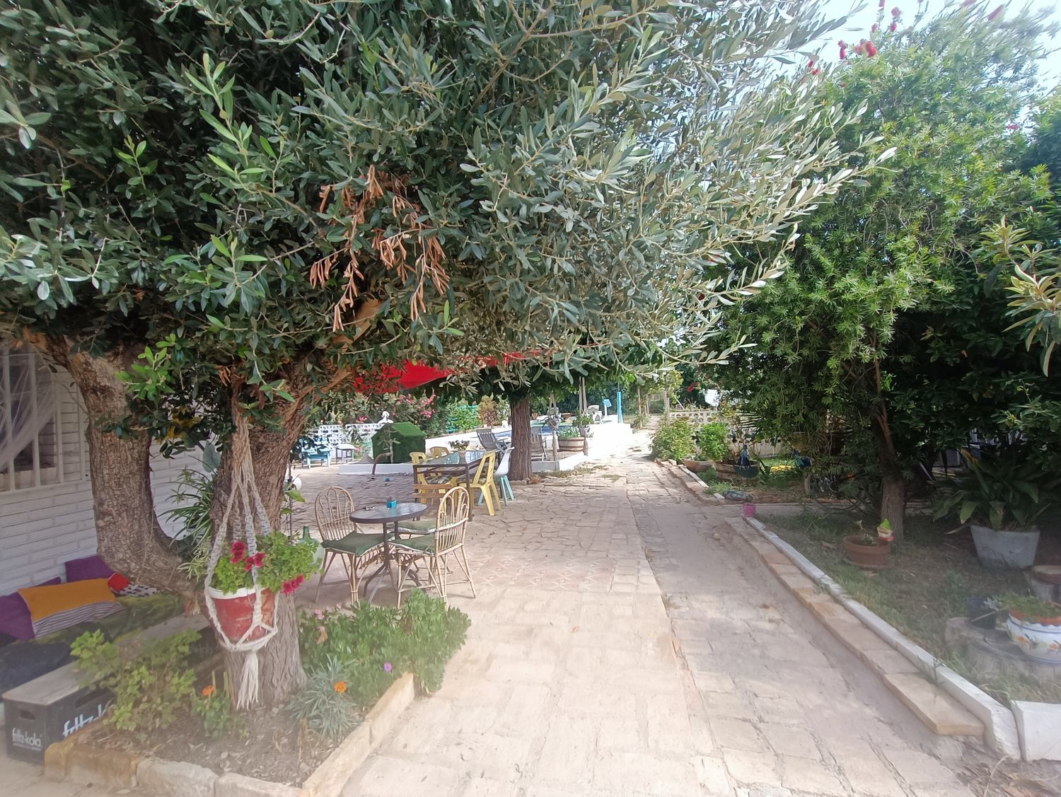 Finca rústica en Urb Torre Urzaiz, 19, Movera - Foto 7