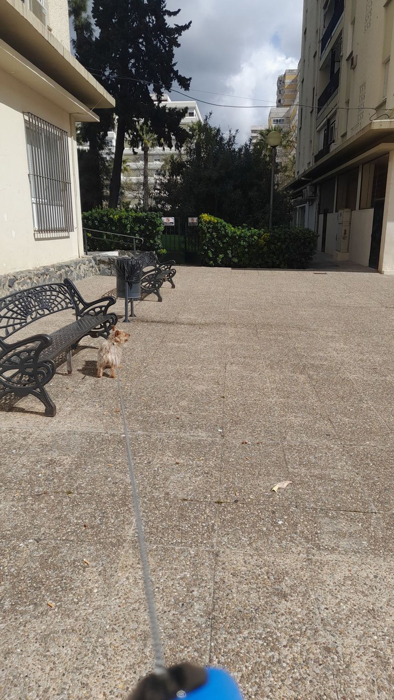 Piso en plaza del Caballo, 1 - Foto 36