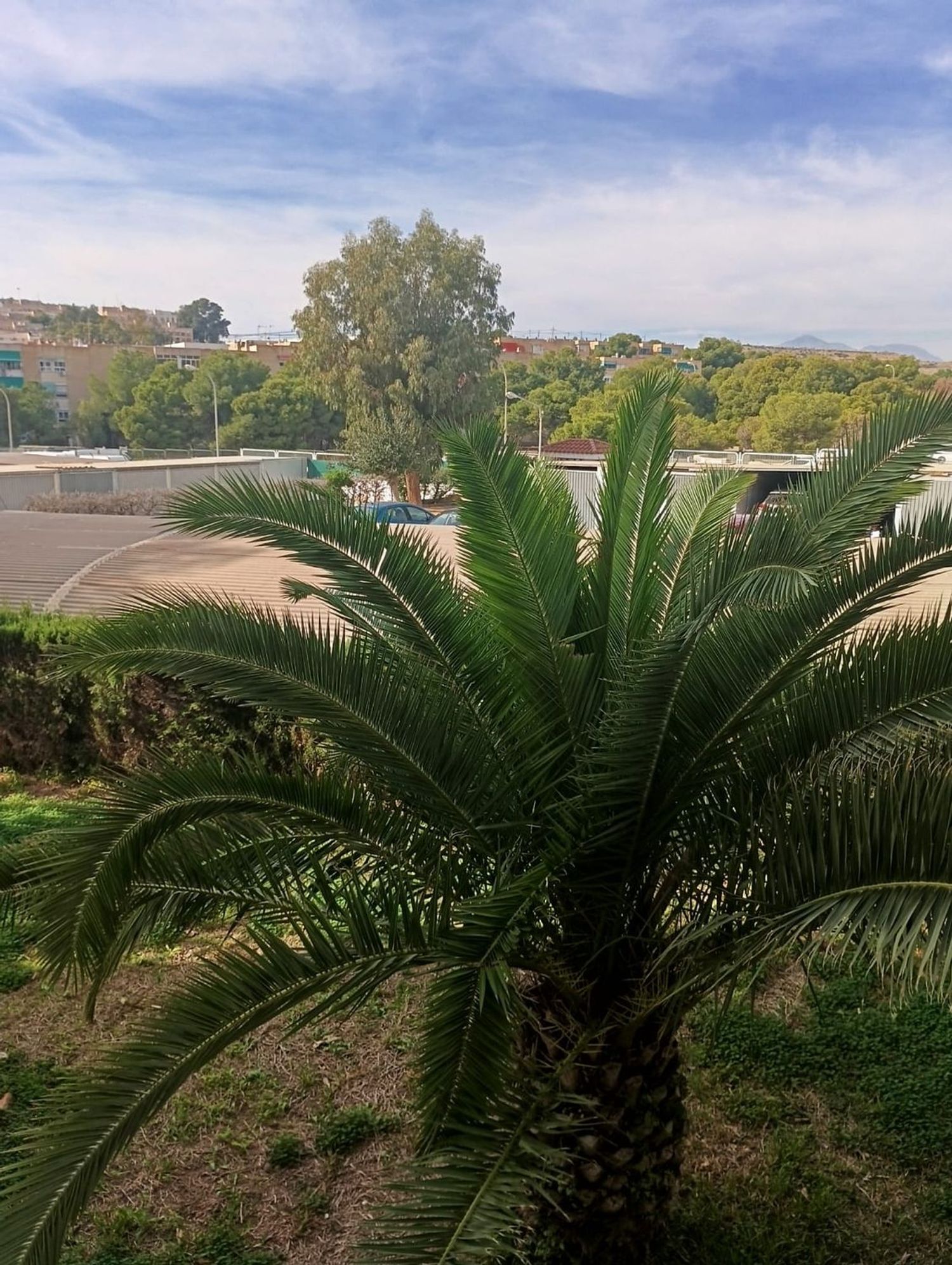 Piso en Poeta Salvador Selles, 8 - Foto 11