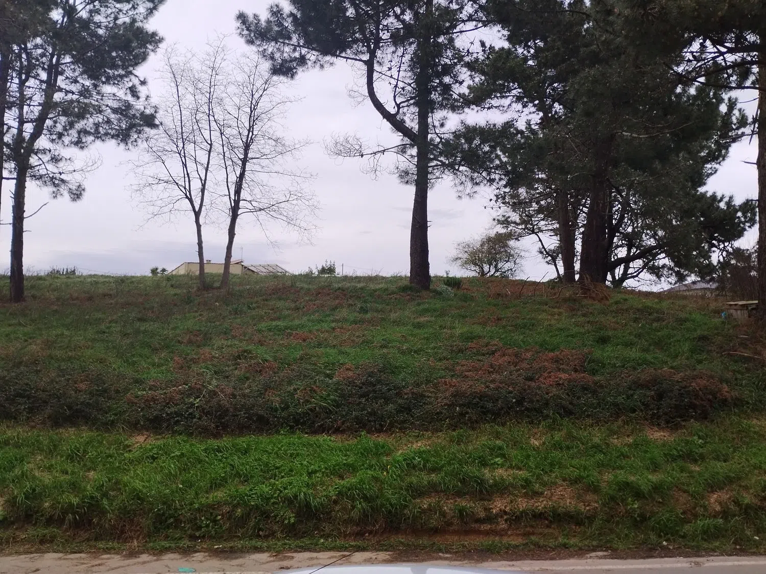 Piso en Suárez picallo, 8 - Foto 5