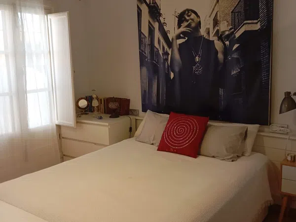 Estudio en Calle Arrayán, 6, Feria - Foto 10