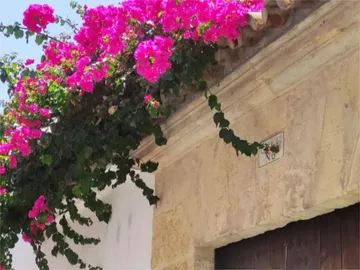 Apartamento en  Calle Valderrama 6