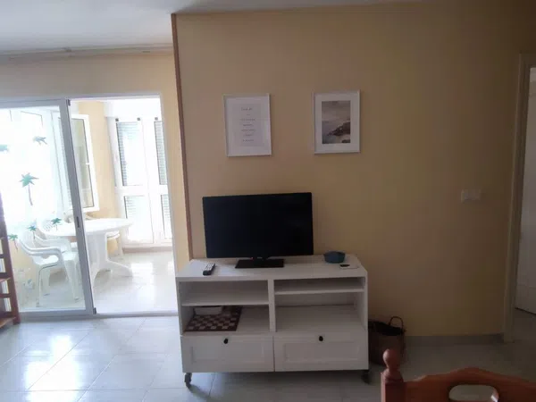 Piso en Calle Músico Agustín Bertomeu, 4, El Palmeral-Urbanova-Tabarca - Foto 4
